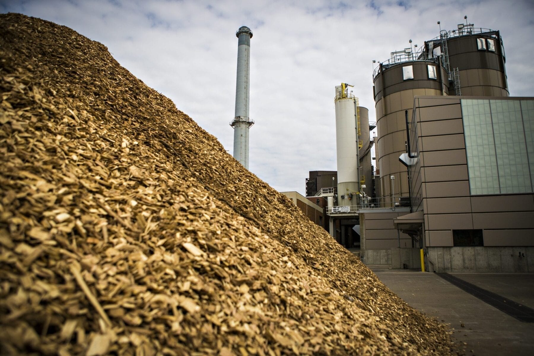 Biomass Plant planned for UK