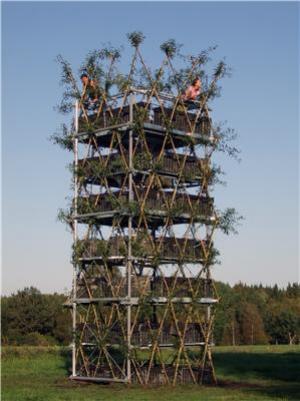 Arbo-architects Succesful: First Tower Made Of Living Trees