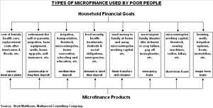 Sacrificing Microcredit for Megaprofits