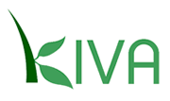 Kiva Adds Student Loans To Microlending Marketplace