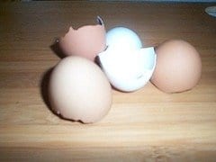 Eggshells could be used to fight global warming