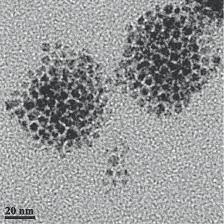UB researchers have studied the effects of quantum dots in primates - the clusters seen here under an electron microscope are just 50 nanometers in diameter (Image: University at Buffalo) VIEW 2 IMAGES