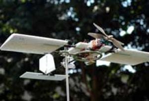 Birds' Perceptual and Maneuvering Abilities Inspire Small Unmanned Aerial Vehicles
