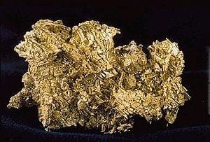 Bacteria Found to Thrive on Gold