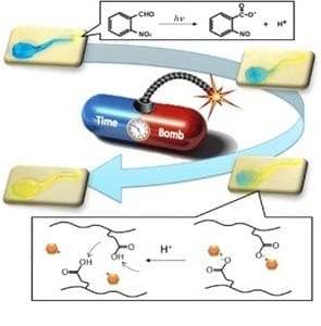 Better Medicine Delivery: Targeting drugs with hydrogels