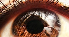 New technique to deliver stem cell therapy may help damaged eyes regain their sight