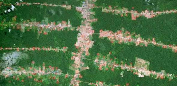 forest-clearing-along-roads-in-the-southern-brazilian-amazon-in-rondonia-credit-google-earth