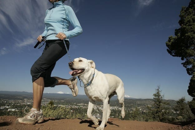 Running Buddies Enrichment Program Partners Joggers with Shelter Dogs