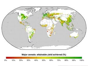 Study offers new hope for increasing global food production, reducing environmental impact of agriculture