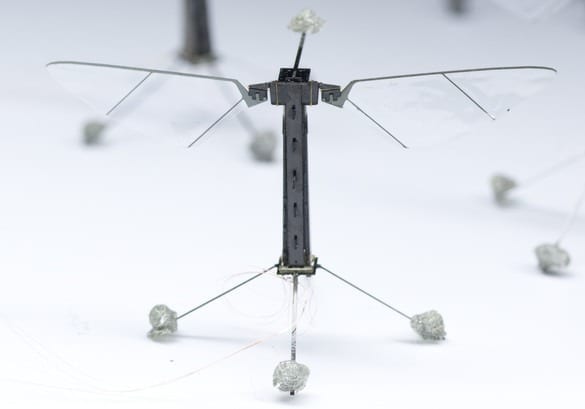 This Robotic Bee Just Took Flight, To Pollinate Crops And (Maybe) Spy On You