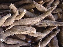 Scientists alarmed by rapid spread of Brown Streak Disease in cassava