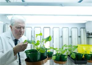 World-Changing Technology Enables Crops to Take Nitrogen from the Air