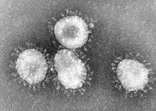 Researchers describe potential for MERS coronavirus to spread internationally after mass gatherings in the Middle East this summer and fall
