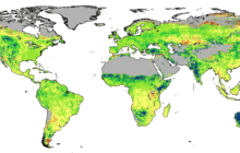 Deserts 'greening' from rising CO2
