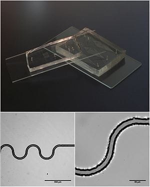 300px-Microfluidics