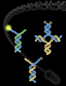 DNA_Nature-Chemistry_2-228x300