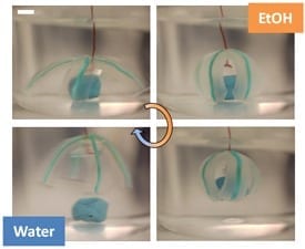 Researchers Create ‘Soft Robotic’ Devices Using Water-Based Gels