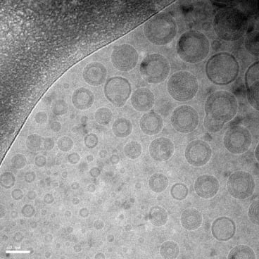 Nanoparticle vaccine offers better protection