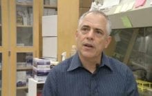 OHSU AIDS vaccine candidate appears to completely clear virus from the body