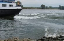 Major changes to the Danube ecosystem:  A fast fish with a huge impact