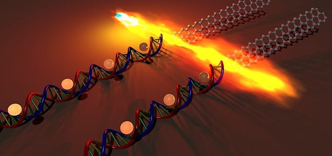 Scientists Use DNA to Assemble a Transistor from Graphene