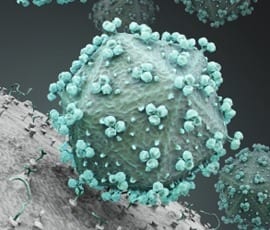 Synthetic polymer could stop the spread of HIV