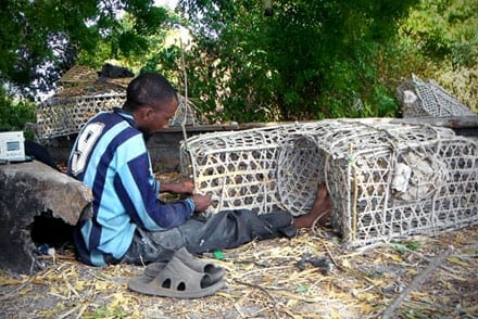 Building a Better Fish Trap: WCS Reduces Fish Bycatch With Escape Gaps in Africa