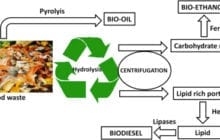 Wasted Energy: Converting Discarded Food into Biofuels Promises Global Energy Boon