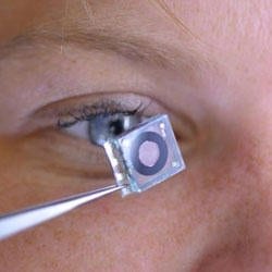 Inspired by the human eye, imaging system detects disease, hazardous substances