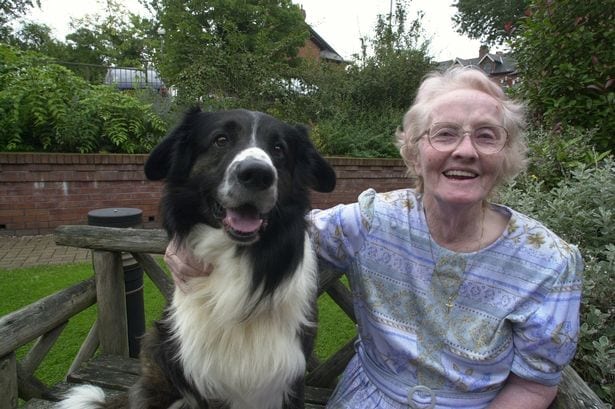 Newcastle University research shows how dogs could help the elderly