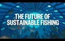 Breakthrough fishing technology could radically change sustainable fishing