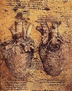 300px-Heart_and_blood_vessels_by_da_Vinci