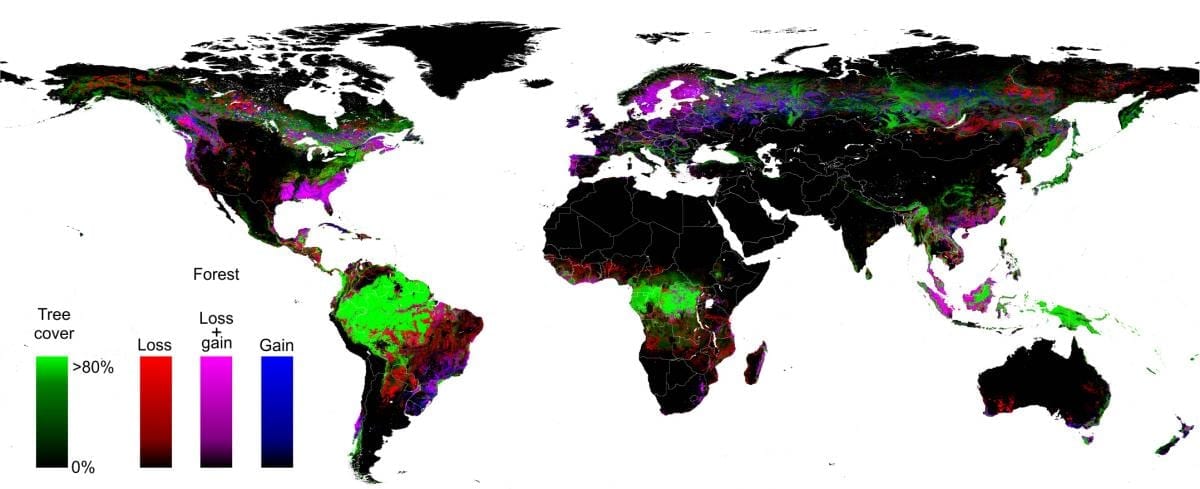 First high-resolution global map of forest extent, loss and gain - Updating Annually