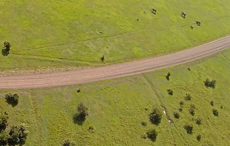 Watch These Drones Guard Endangered Animals In Kenya