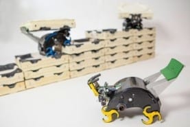Tiny Robots Mimic Termites' Ability to Build without a Leader