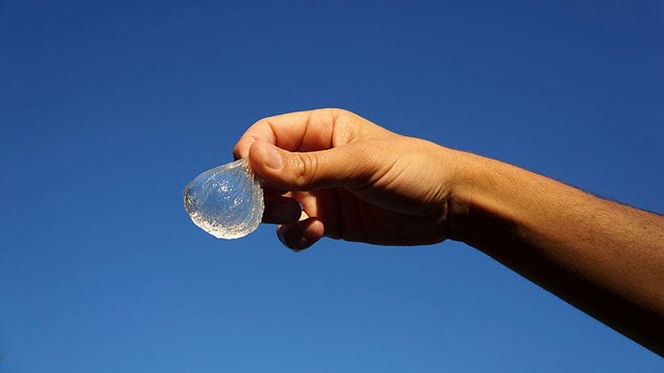 This Edible Blob Is A Water Bottle Without The Plastic