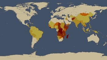 This image shows all countries classified as "Food Insecure" by the Food and Agriculture Organization of the United Nations, FAO, between 2003 and 2005. more than 5% of the people have insufficient food more than 15% of the people have insufficient food more than 25% of the people have insufficient food more than 35% of the people have insufficient food more than 50% of the people have insufficient food (Photo credit: Wikipedia)