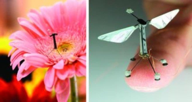 Nature inspires drones of the future
