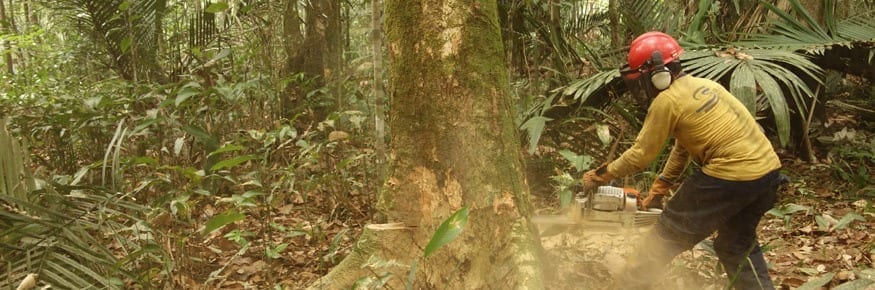 Devastating human impact on the Amazon rainforest revealed