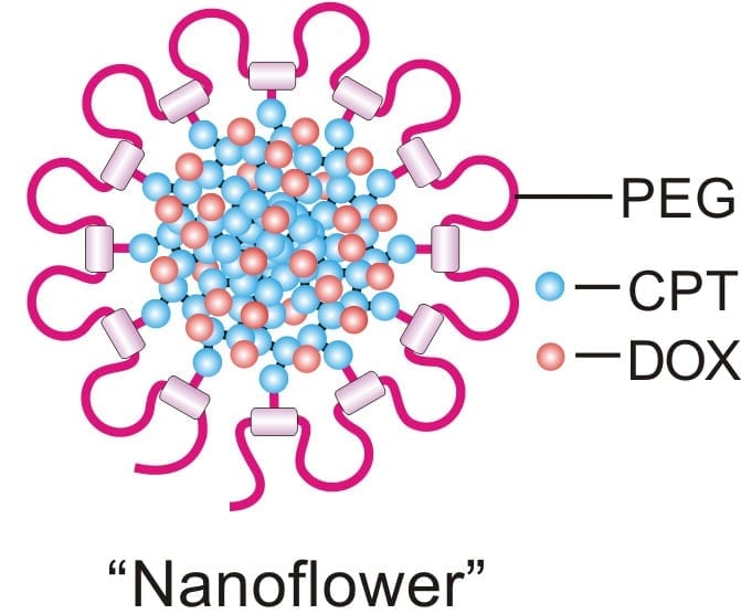 ‘Nanodaisies’ Deliver Drug Cocktail to Cancer Cells