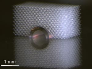 Elastic Invisibility Cloak Allows to Hide from Touching