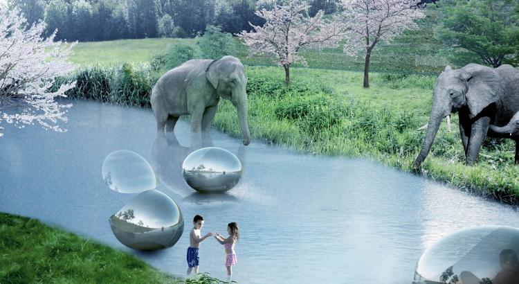 In The Zoo Of The Future, There Are No Cages And The Animals Roam Freely