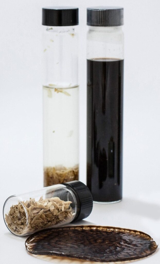 Waste husks from rice (in the small vial) can be transformed into bioplastic. Credit: A. Abrusci – Istituto Italiano di Tecnologia