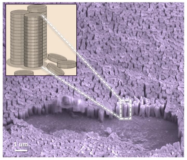 Vertical nanopillars are ideal geometries for getting around the challenges of producing polymer architecture to boost power-conversion efficiency of light to electricity to power electronic devices. Credit: UMass AMherst