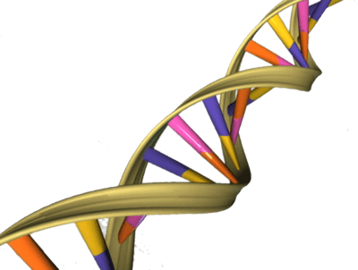 NHS DNA scheme to fight cancer and genetic diseases