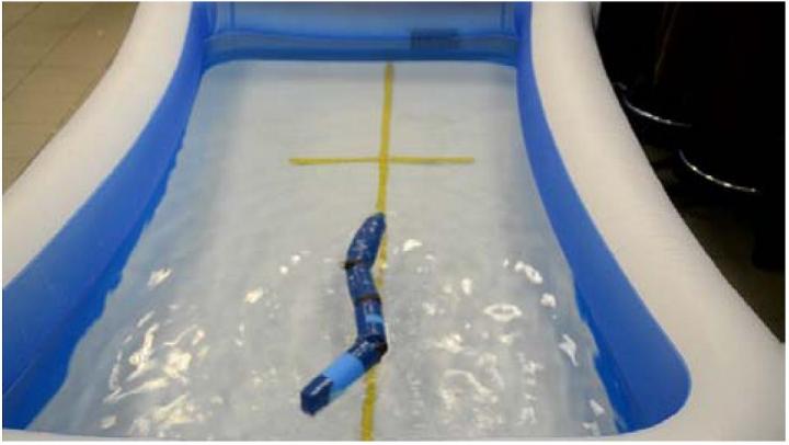 An eel-lectrifying future for autonomous underwater robots