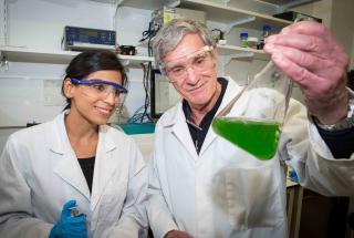 Engineers Make Synthetic Photosynthesis Breakthrough