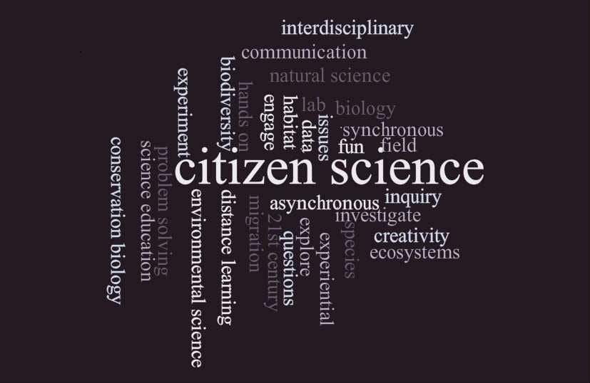 Citizen scientists lead the way in exciting new research