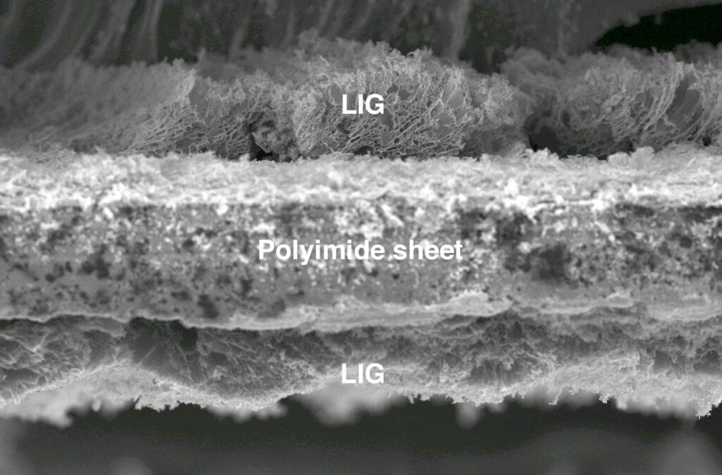 An electron microscope image shows the cross section of laser-induced graphene burned into both sides of a polyimide substrate. The flexible material created at Rice University has the potential for use in electronics or for energy storage.
