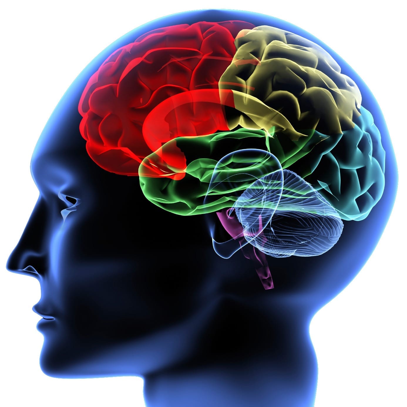 Brain imaging may help predict future behavior